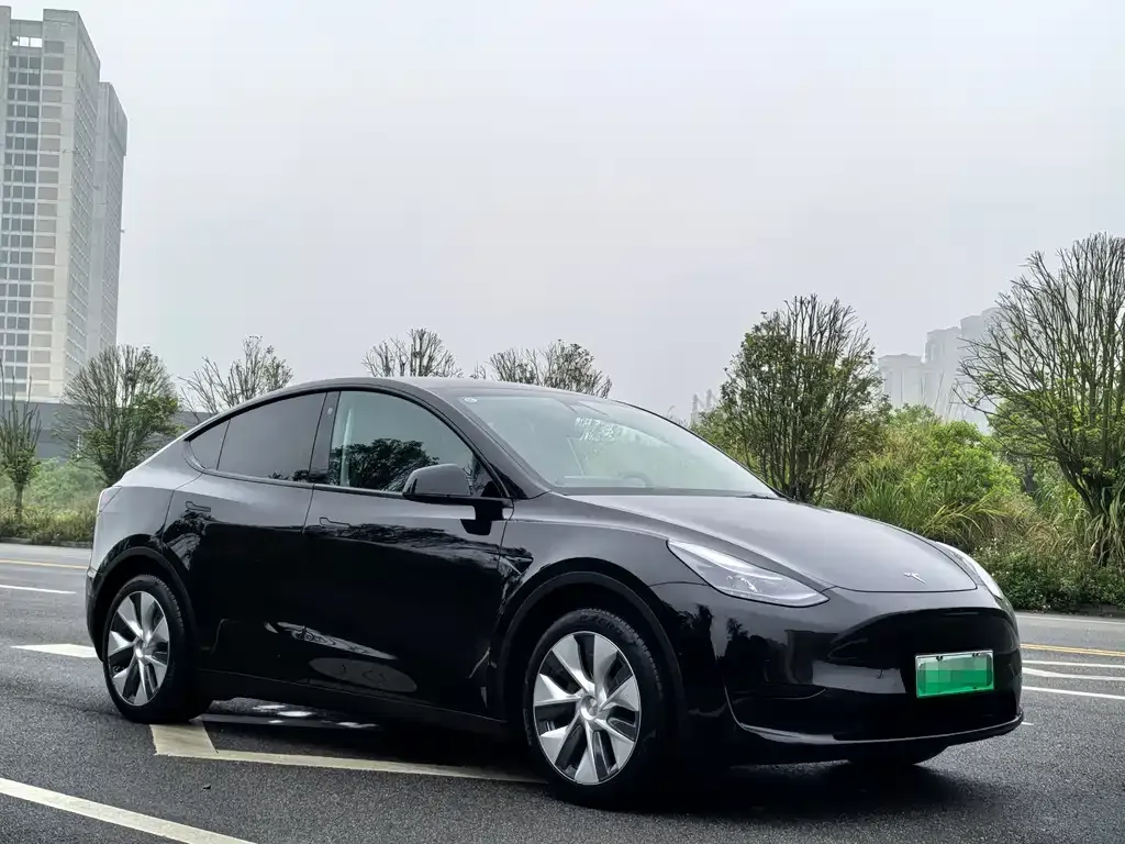 Tesla Model Y — фото 6