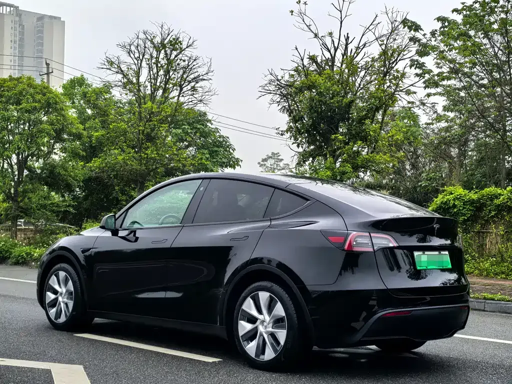 Tesla Model Y — фото 9
