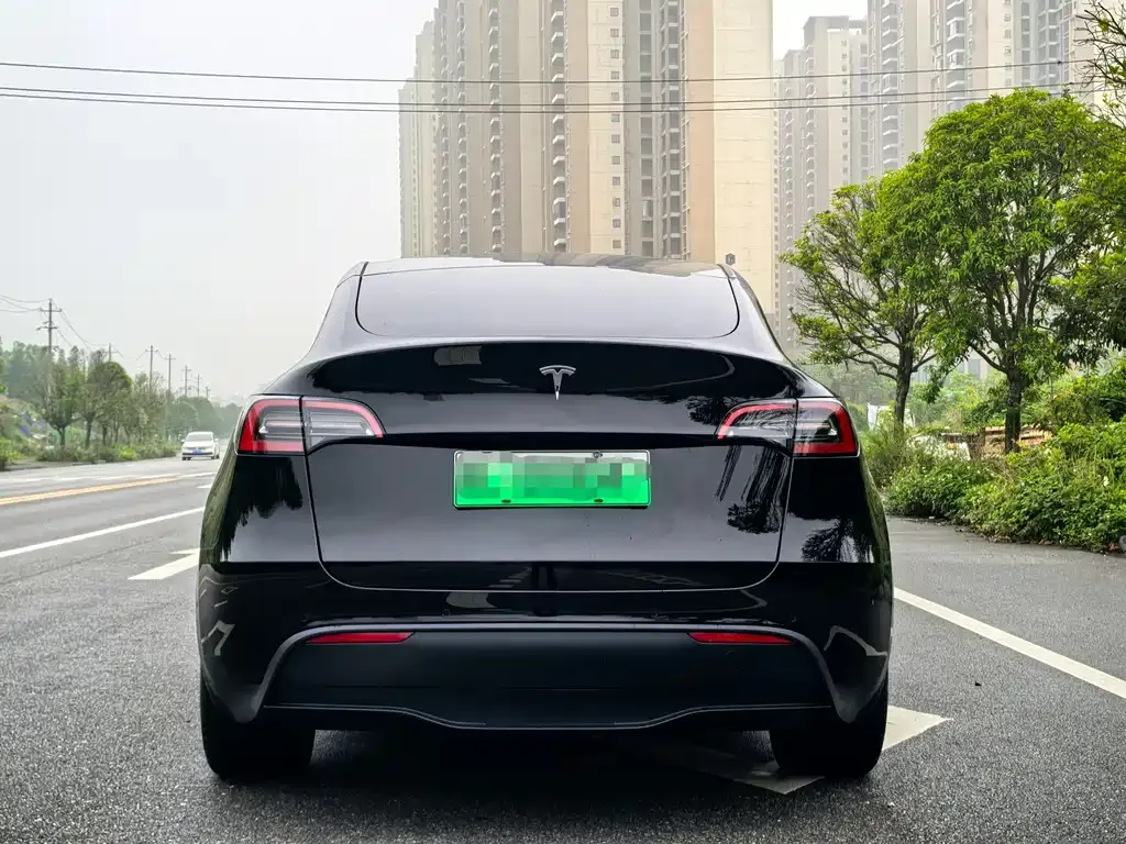 Tesla Model Y — фото 8