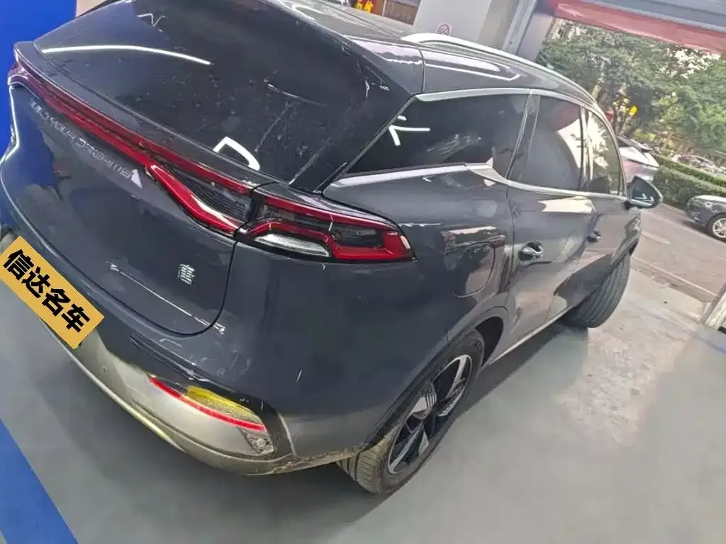 BYD Tang New Energy — фото 10