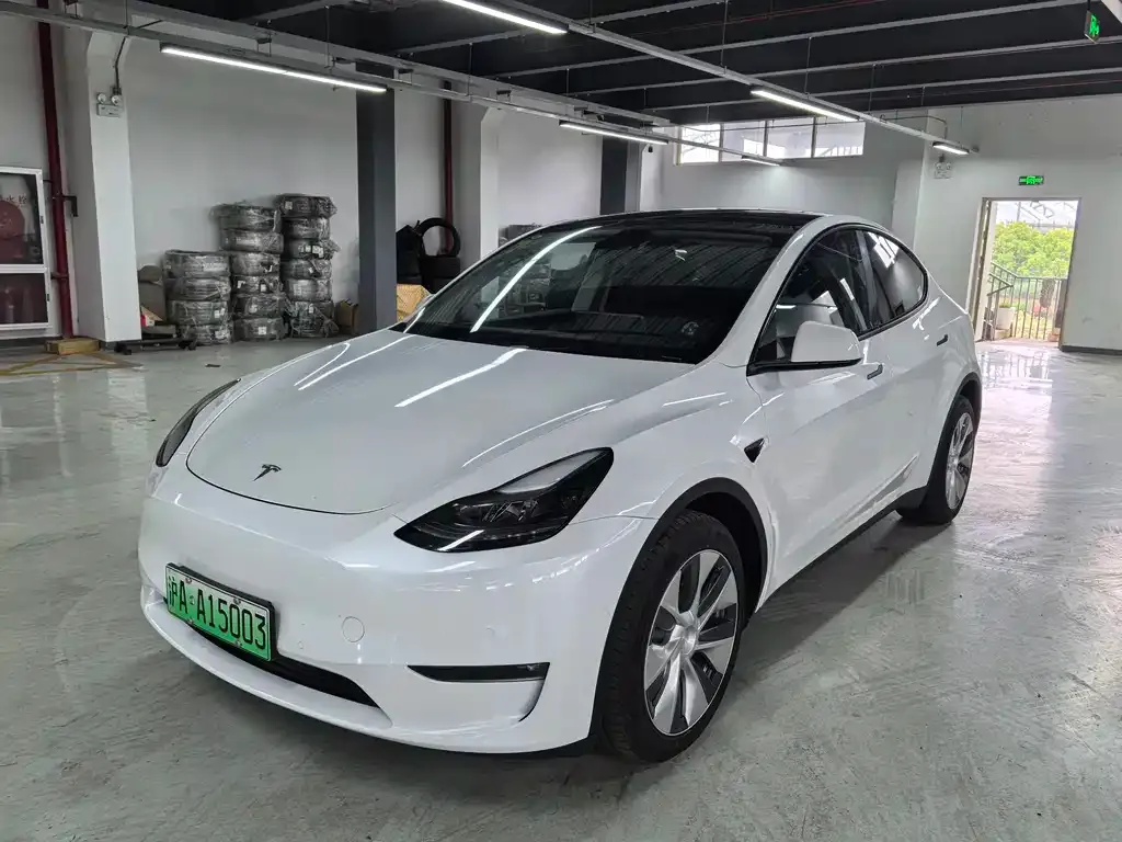 Tesla Model Y — фото 1