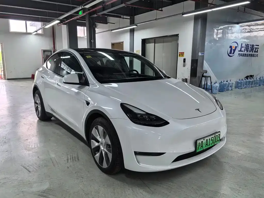 Tesla Model Y — фото 8