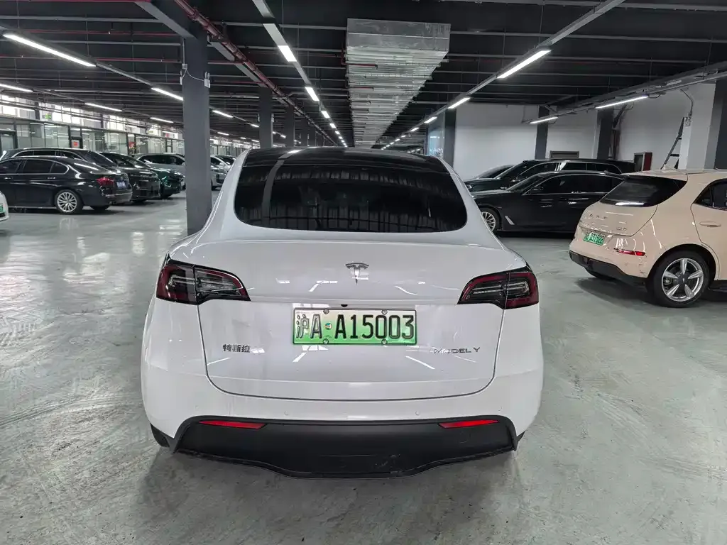 Tesla Model Y — фото 6