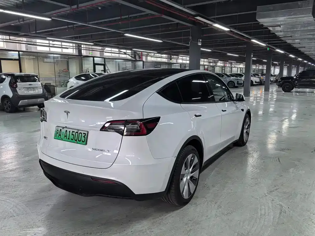 Tesla Model Y — фото 10