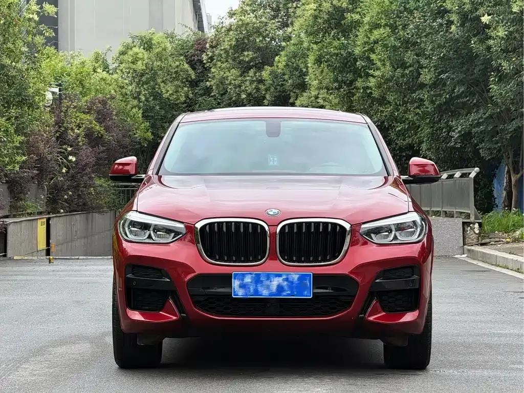 BMW X4 2021 из CN, фото 5