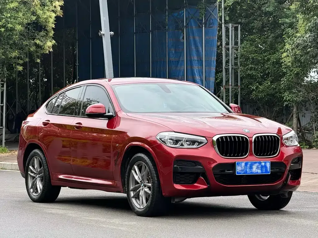 BMW X4 2021 из CN, фото 8