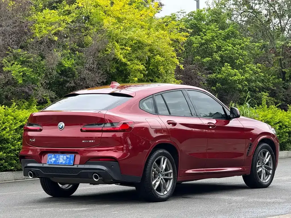 BMW X4 2021 из CN, фото 9