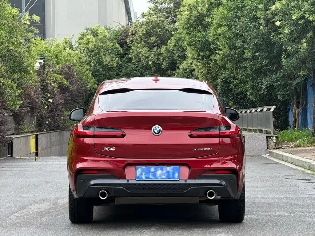 BMW X4 2021 из CN, фото 7