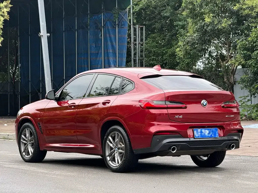 BMW X4 2021 из CN, фото 2