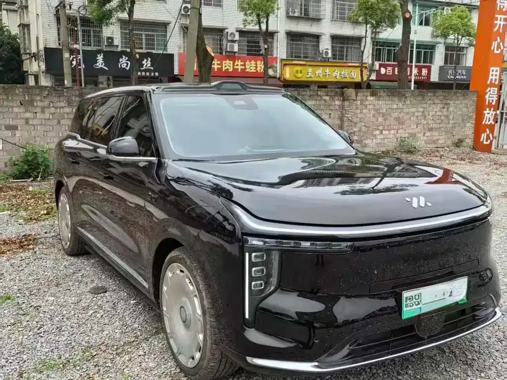 IM LS9