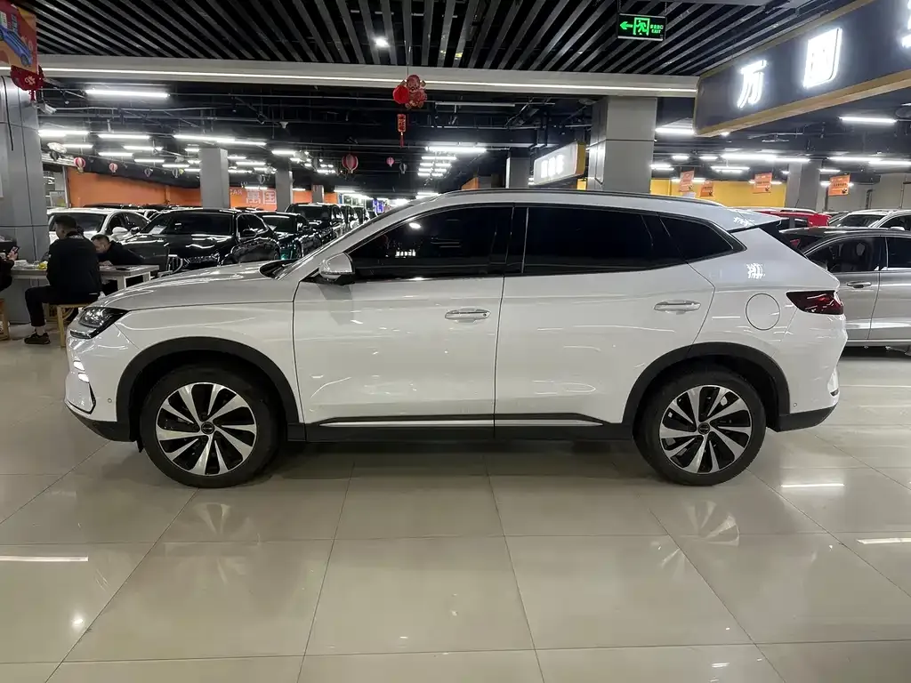 BYD PLUS New Energy — фото 4