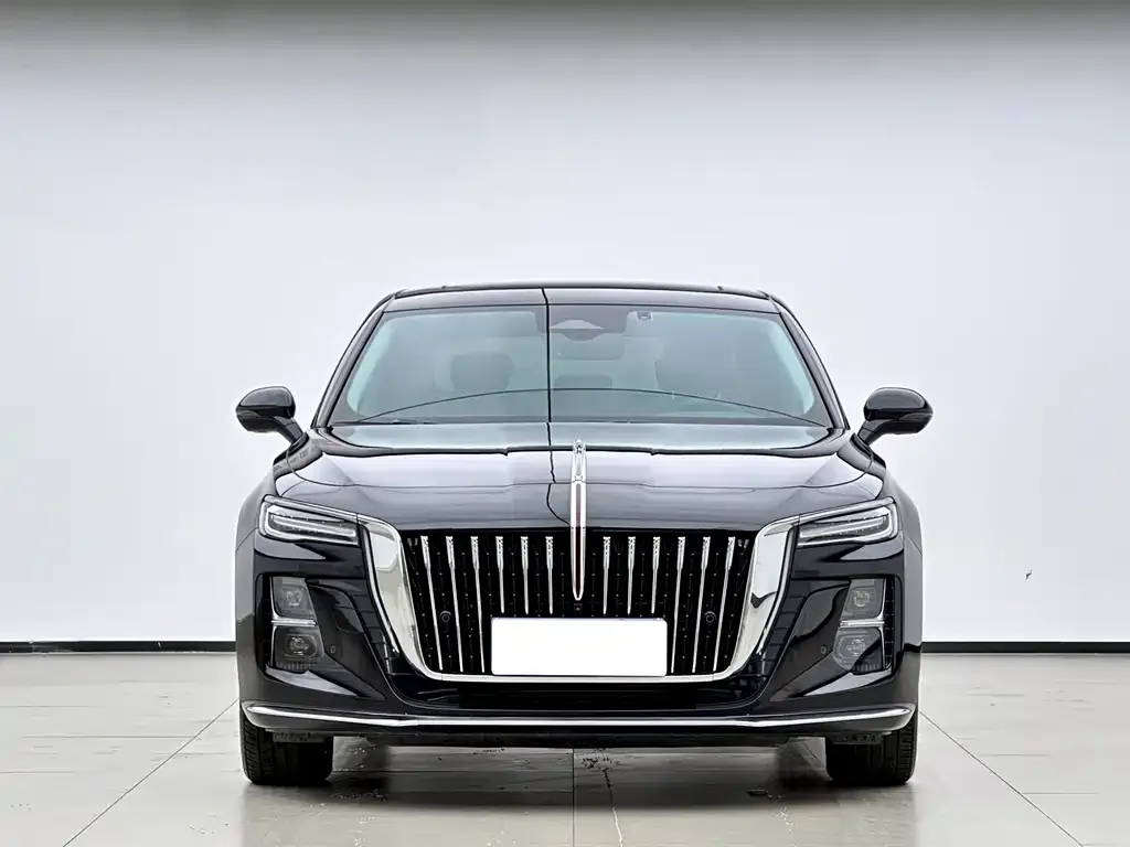 Hongqi H5 2024 из CN, фото 2