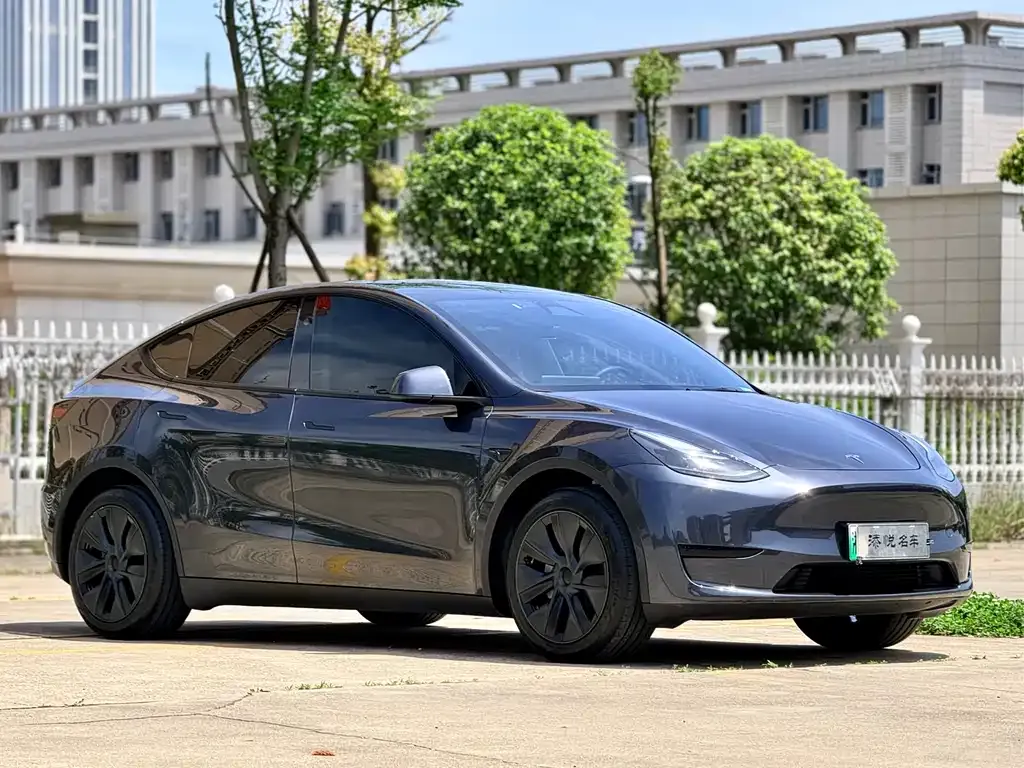 Tesla Model Y — фото 3