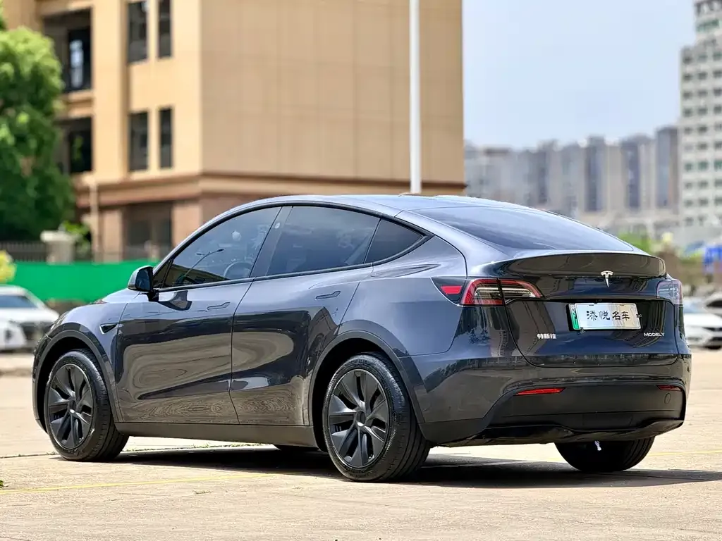 Tesla Model Y — фото 2