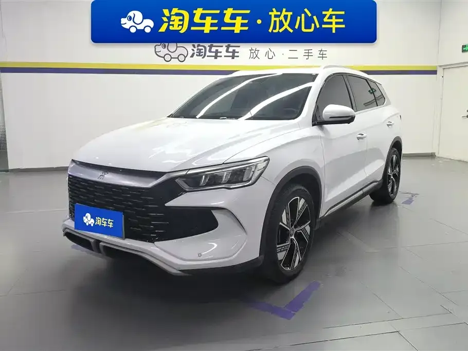 BYD Pro New Energy — фото 1
