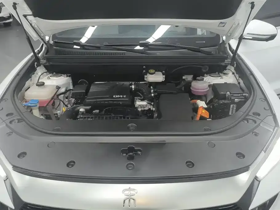 BYD Pro New Energy — фото 6