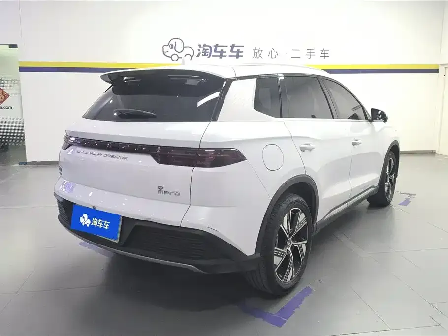 BYD Pro New Energy — фото 5