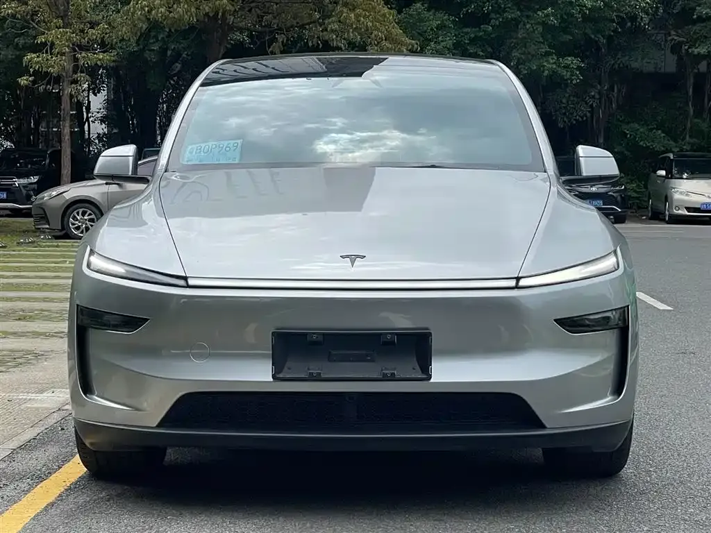 Tesla Model Y L 2025 из CN, фото 9