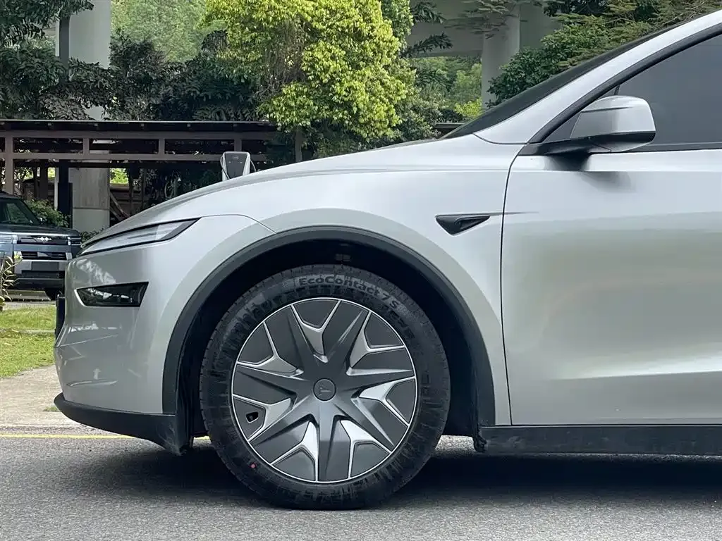 Tesla Model Y L 2025 из CN, фото 4