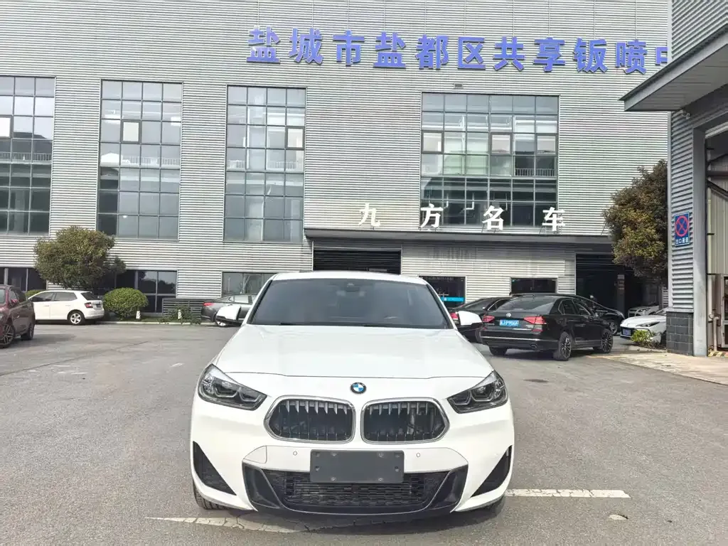 BMW X2 2021 из CN, фото 9