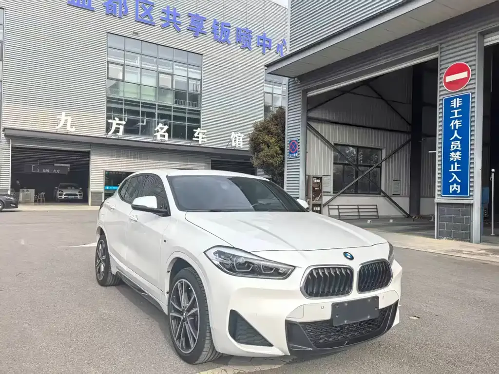 BMW X2 2021 из CN, фото 10