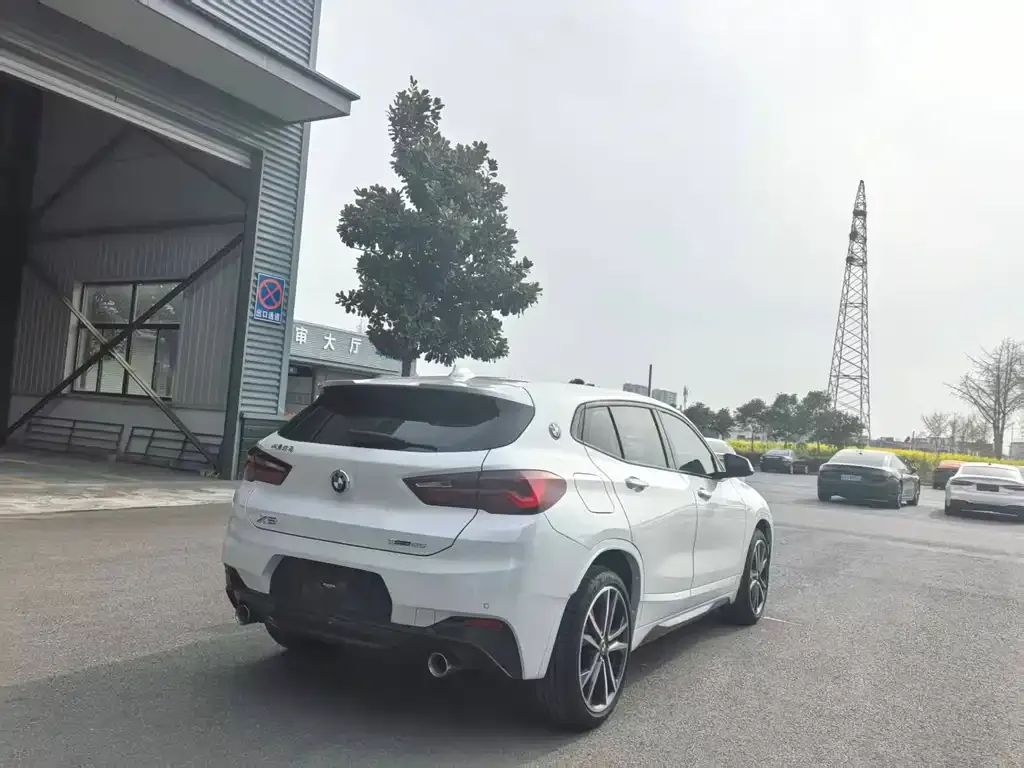 BMW X2 2021 из CN, фото 6