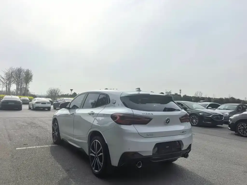 BMW X2 2021 из CN, фото 3