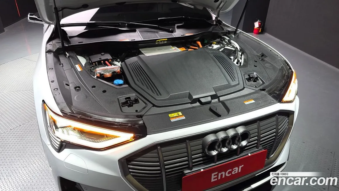 Audi e-tron 2021 из KR, фото 9