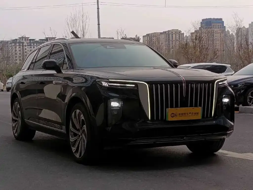 Hongqi E-HS9 — фото 10