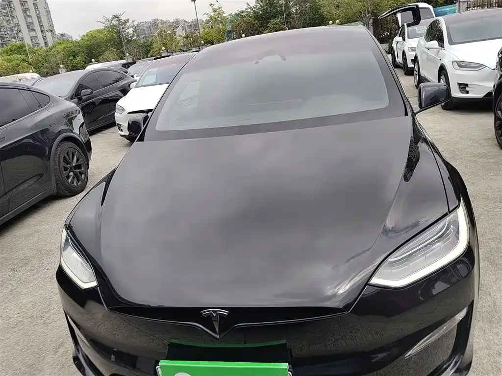 Tesla Model X 2023 из CN, фото 6