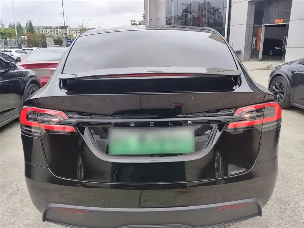 Tesla Model X 2023 из CN, фото 2