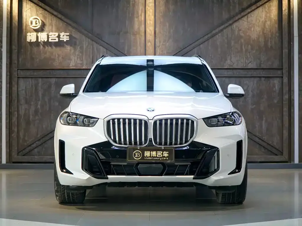 BMW X5 2024 из CN, фото 8