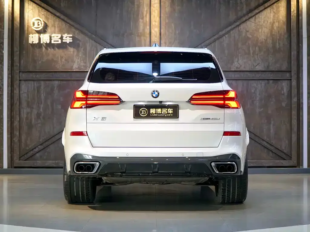 BMW X5 2024 из CN, фото 6