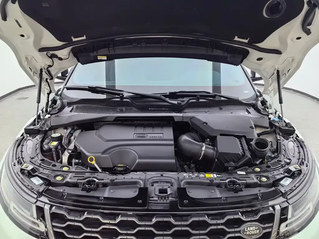 Land Rover Evoque 2021 из CN, фото 10