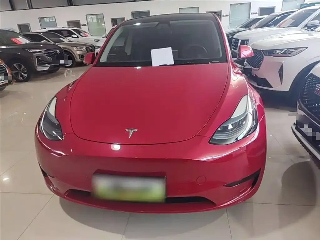 Tesla Model Y — фото 10