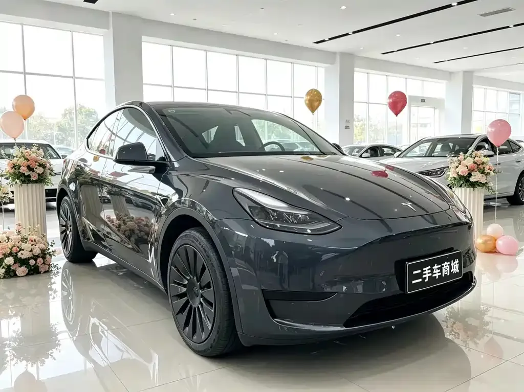 Tesla Model Y — фото 1