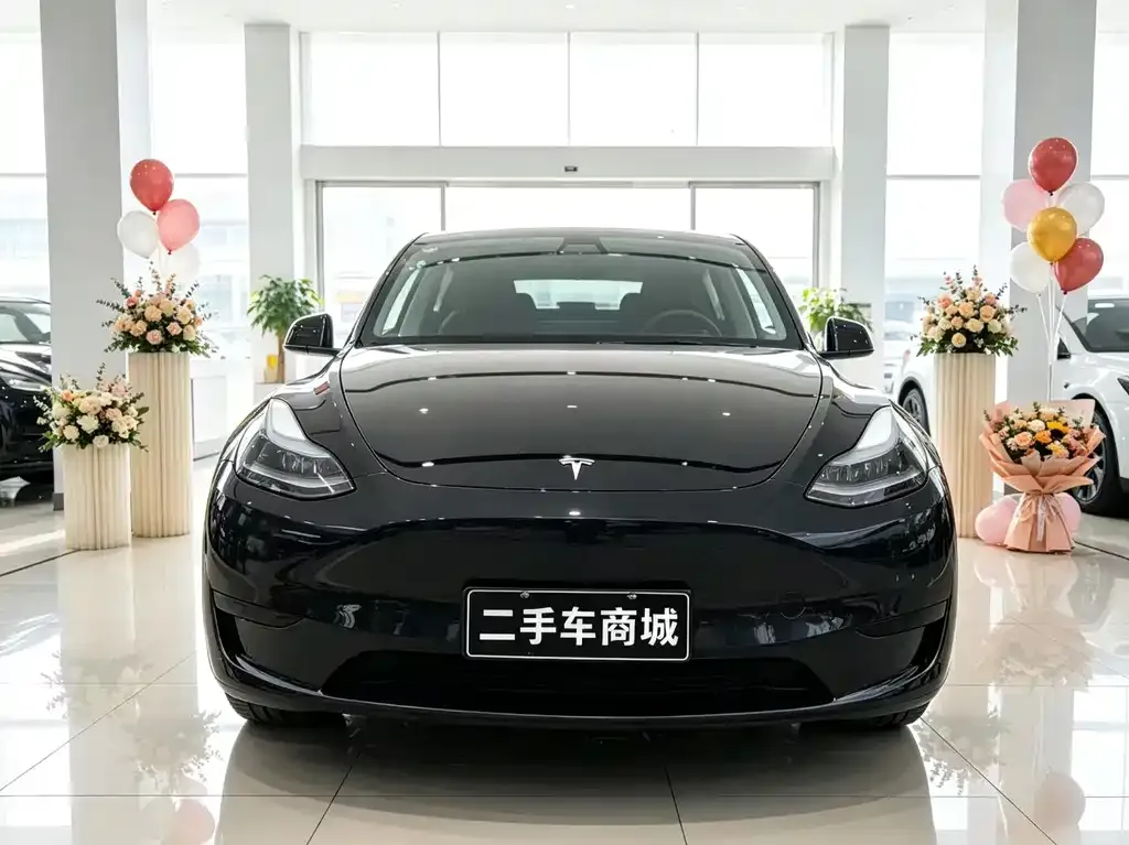 Tesla Model Y — фото 3