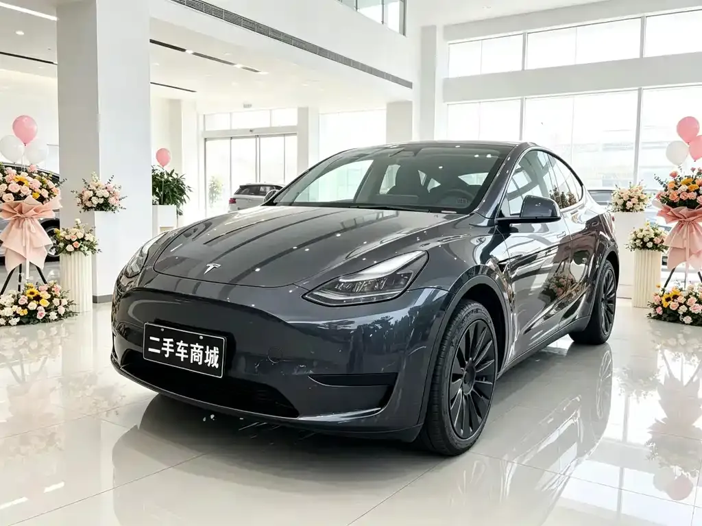 Tesla Model Y — фото 4