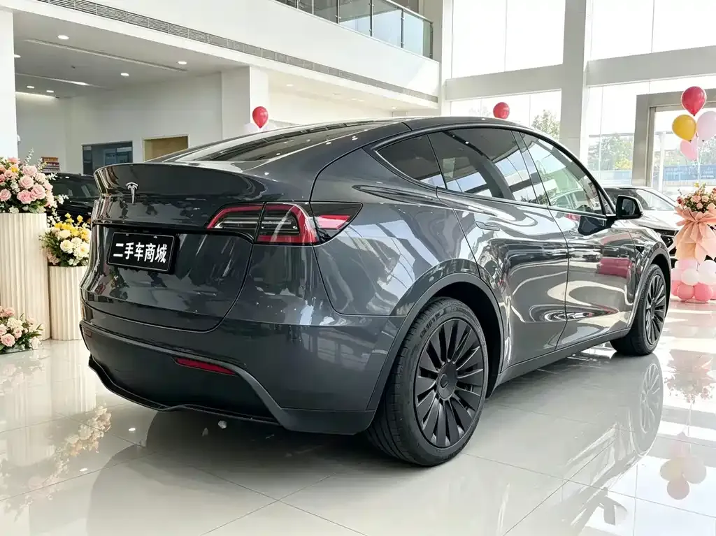 Tesla Model Y — фото 8