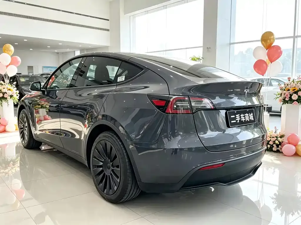 Tesla Model Y — фото 10