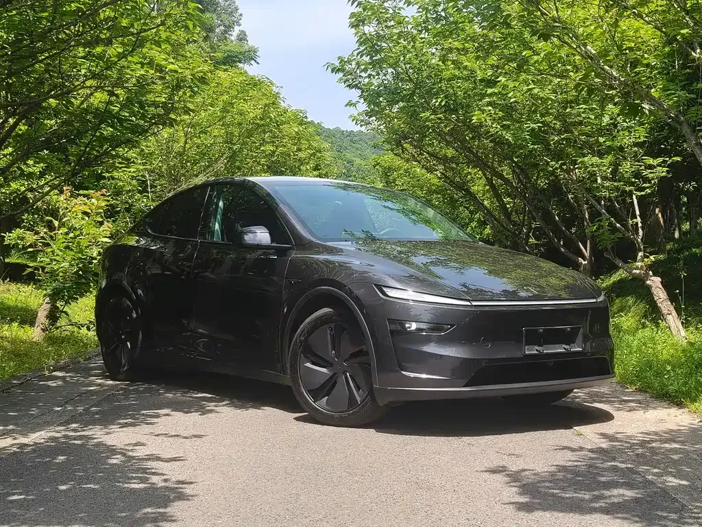 Tesla Model Y — фото 8