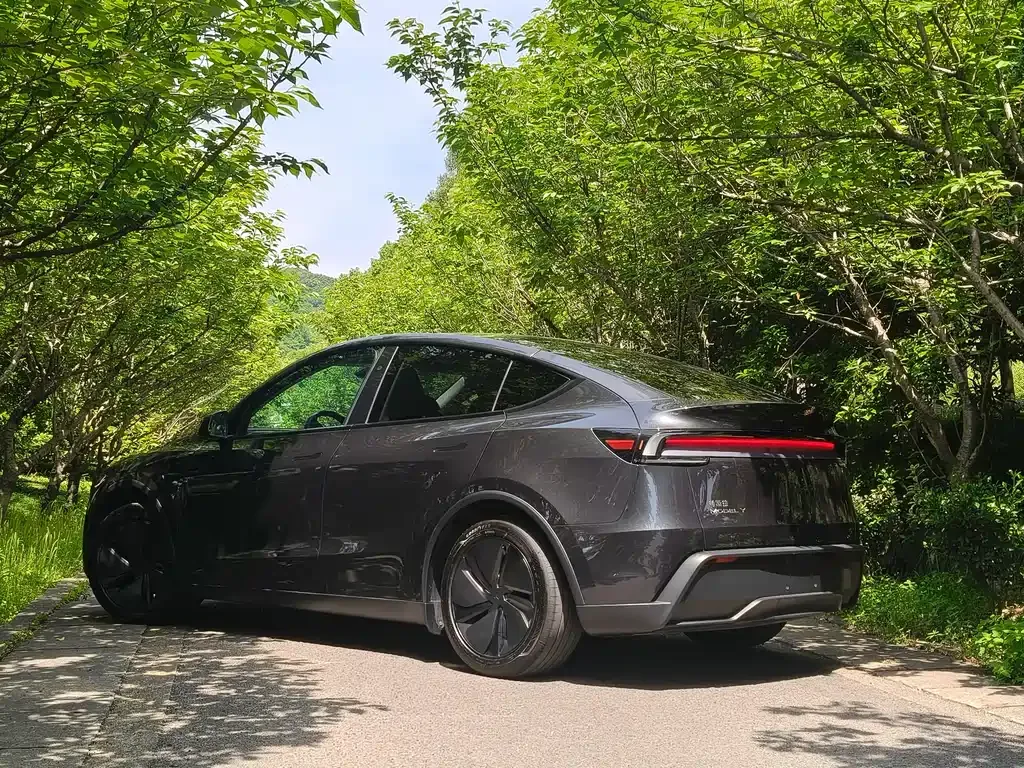 Tesla Model Y — фото 4