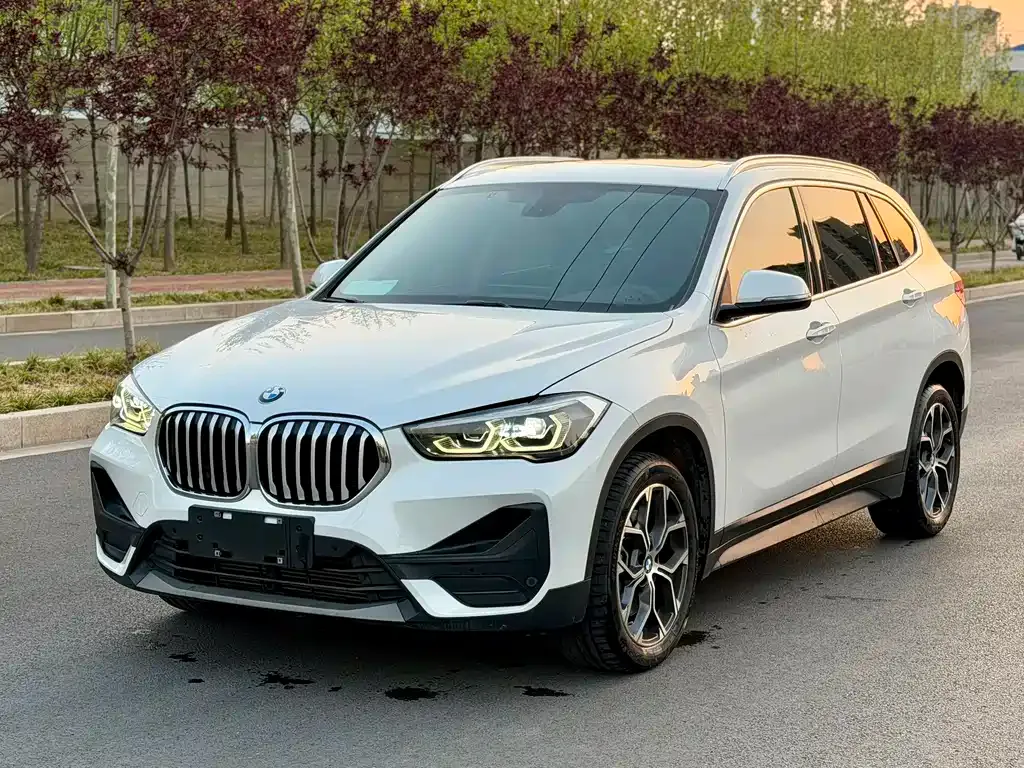 BMW X1 — фото 1