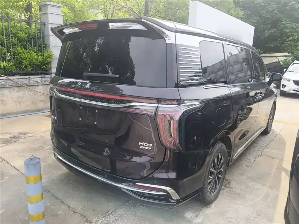 Hongqi HQ9 PHEV — фото 4