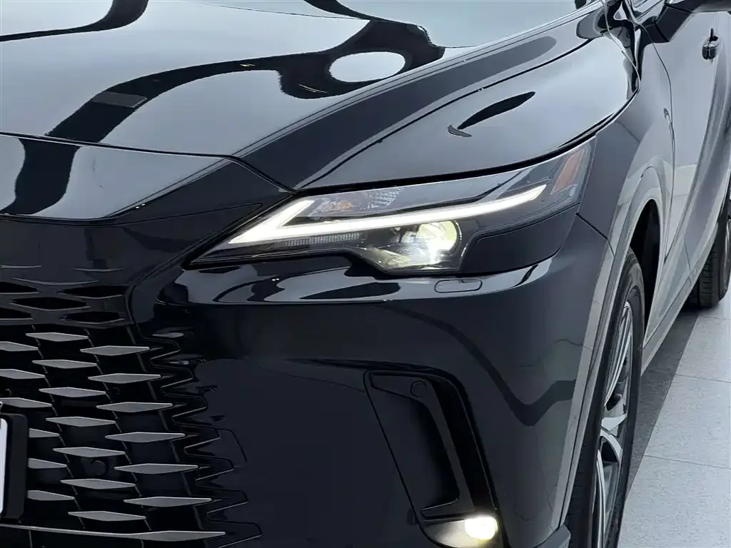 Lexus RX — фото 6