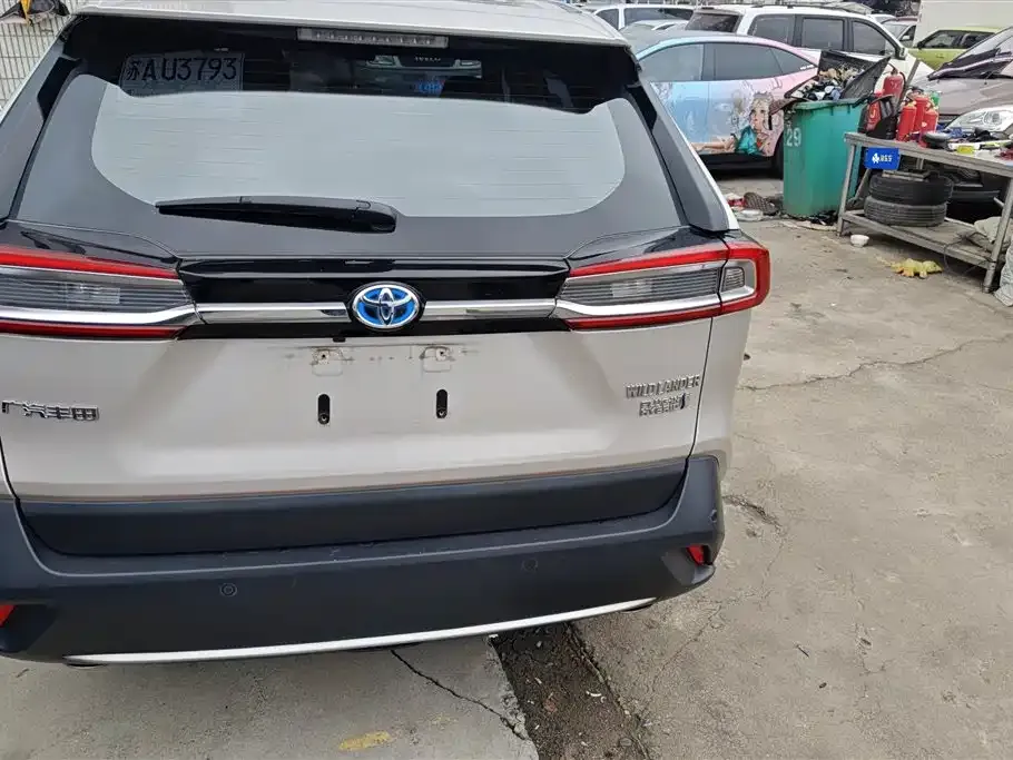 Toyota Wildlander New Energy 2022 из CN, фото 6