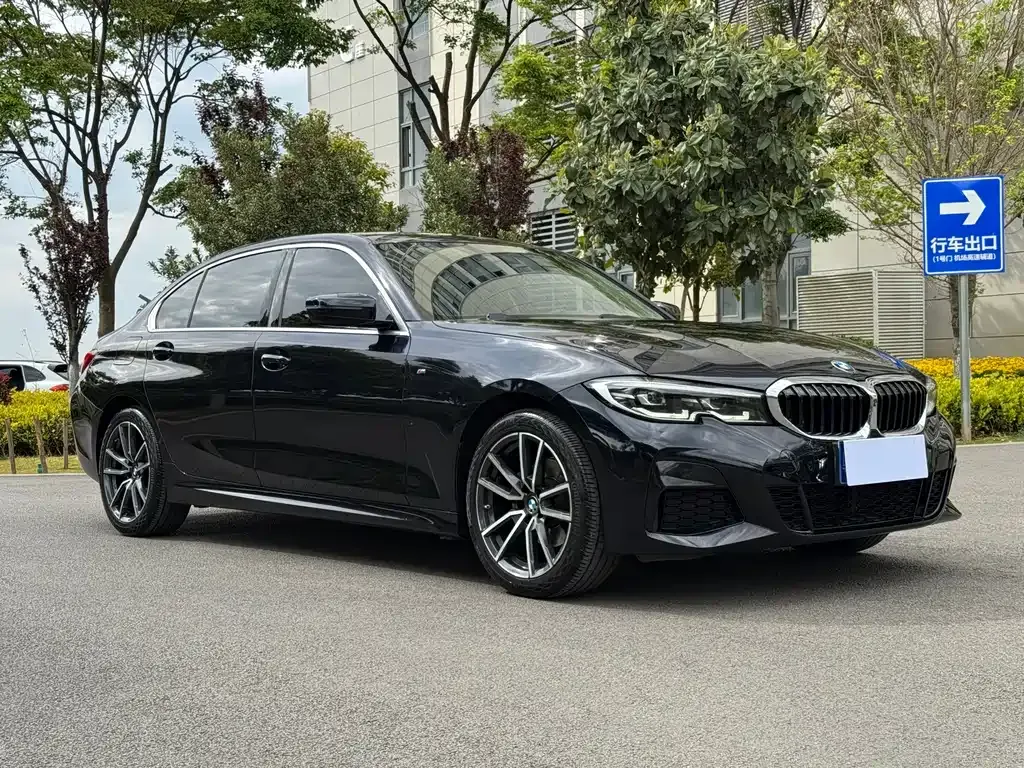 BMW 3 Series 2022 из CN, фото 6