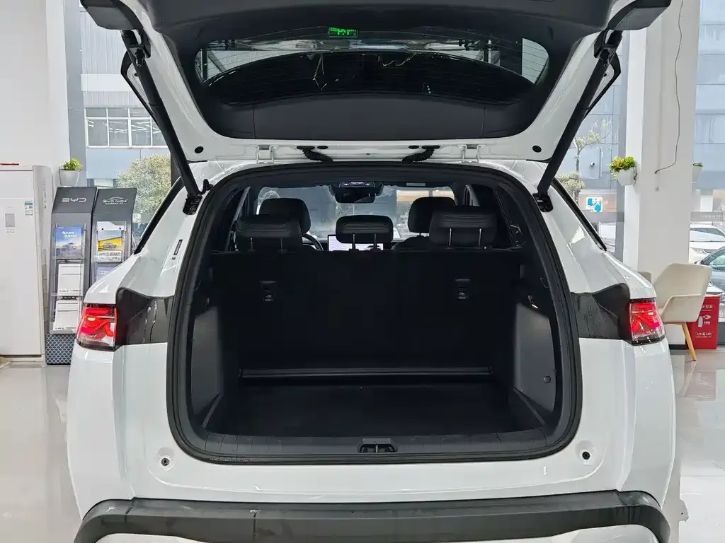 BYD L DM-i — фото 2