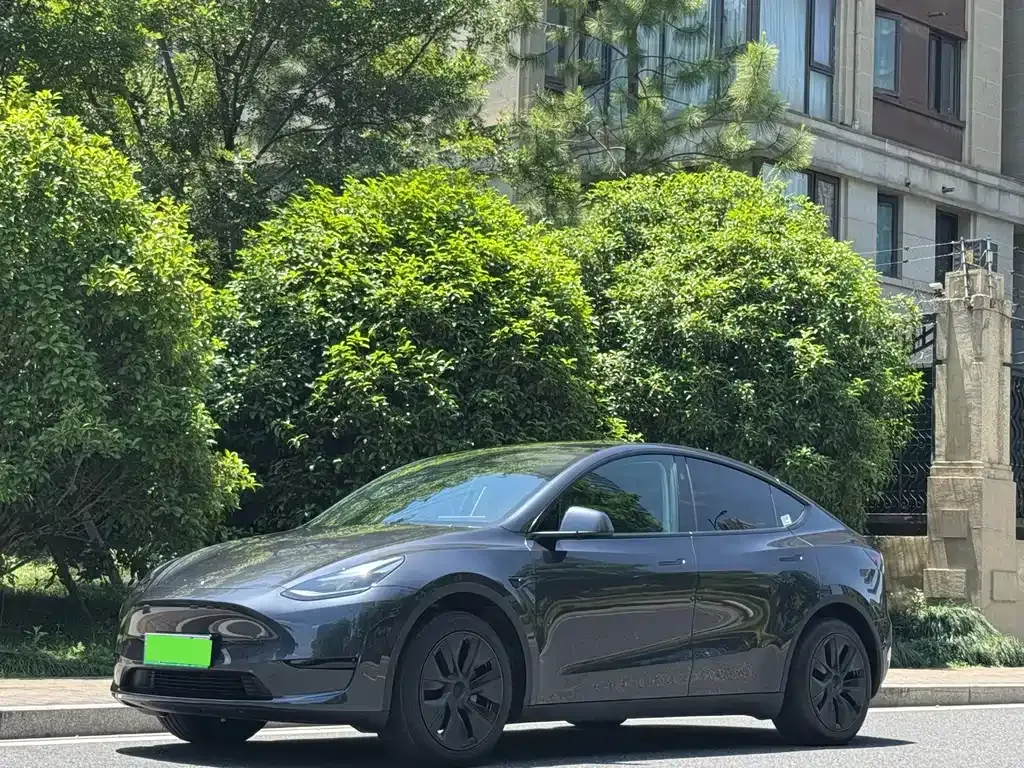 Tesla Model Y — фото 1