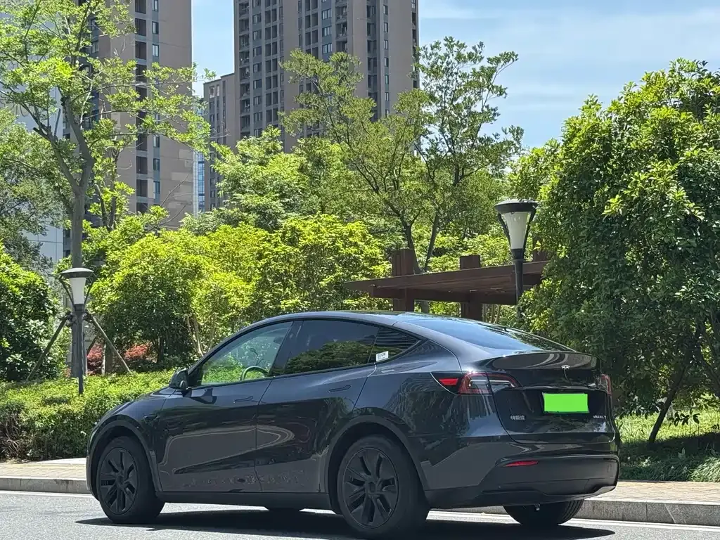 Tesla Model Y — фото 8